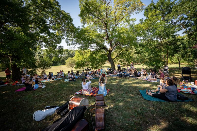 CSIMOTA PIKNIK /Kulcsi Photo