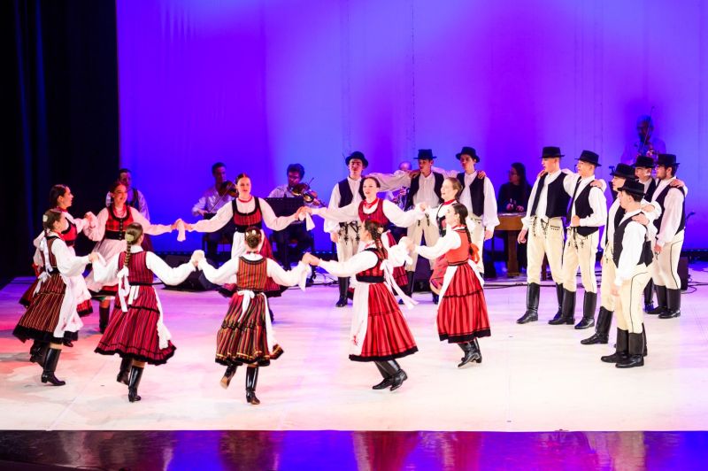 Kaleidoszkóp / Gyenes Kata